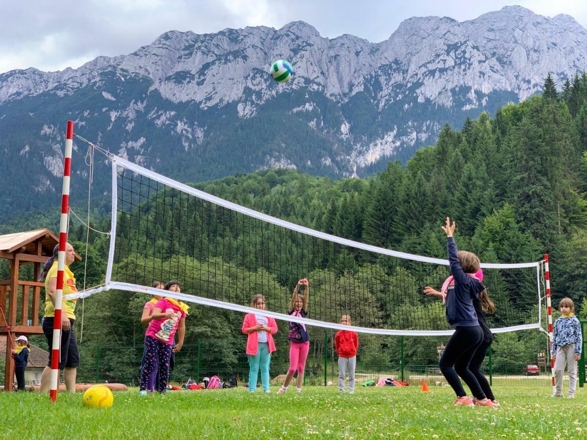 Panorama Pietrei Craiului Hotel Zărneşti Eksteriør billede